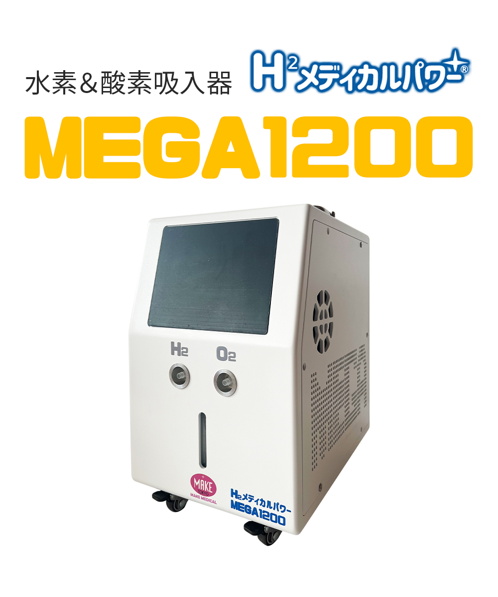 MEGA1200 02