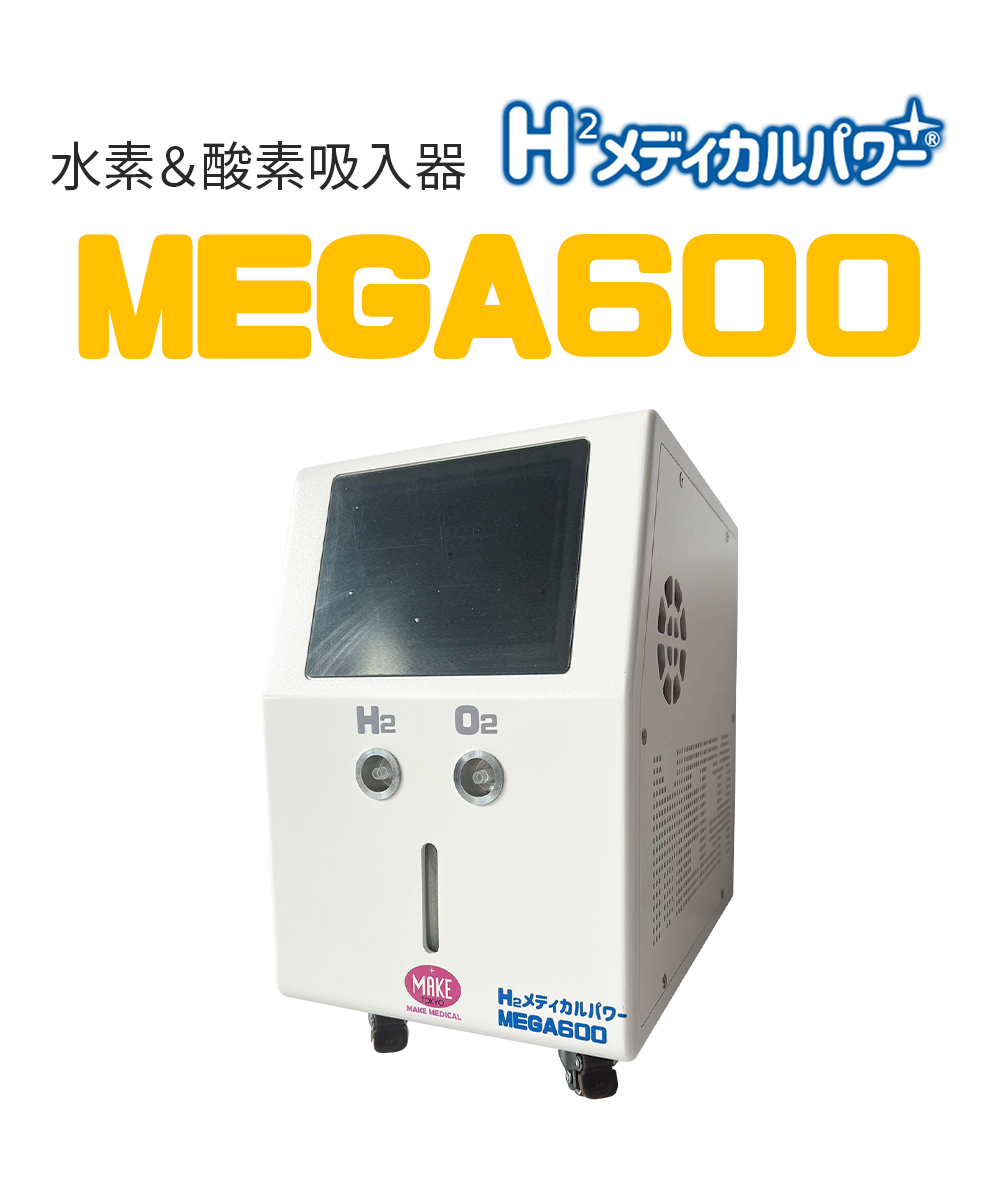 MEGA600 02 2