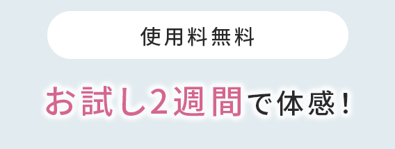 メイン 04 02 02 1