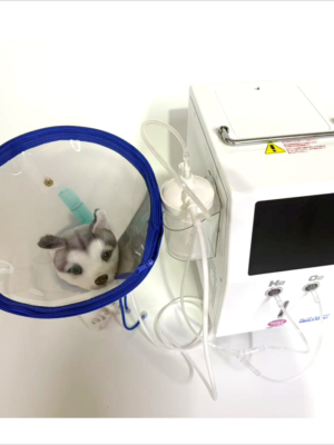 260204 マスク 中 全体 水素吸入器 マスク 中 ペット 犬 猫