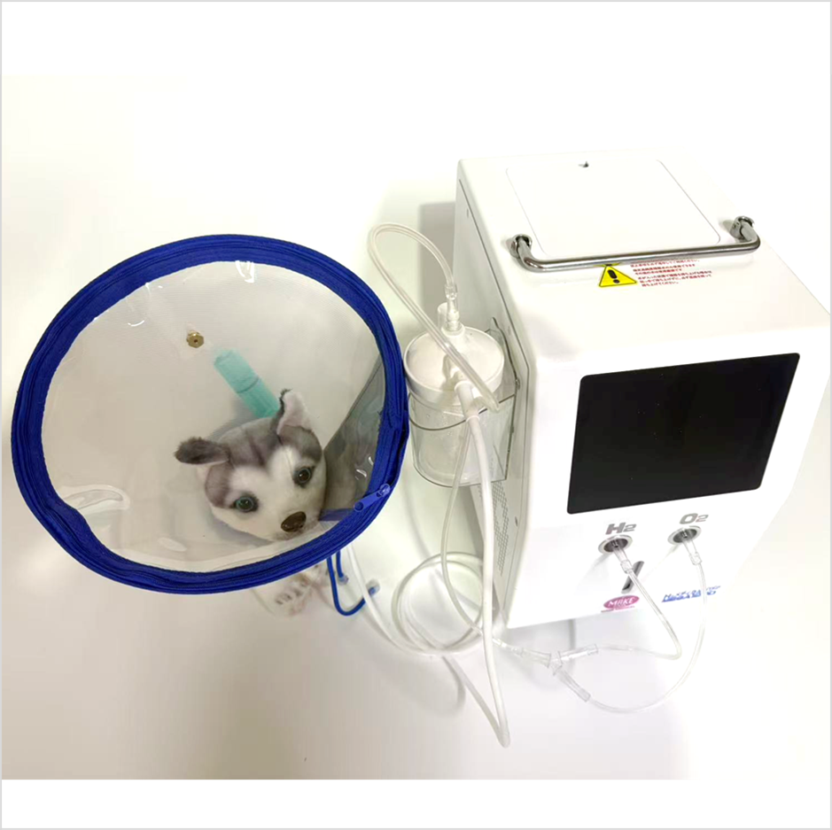 260204 マスク 中 全体 水素吸入器 マスク 中 ペット 犬 猫