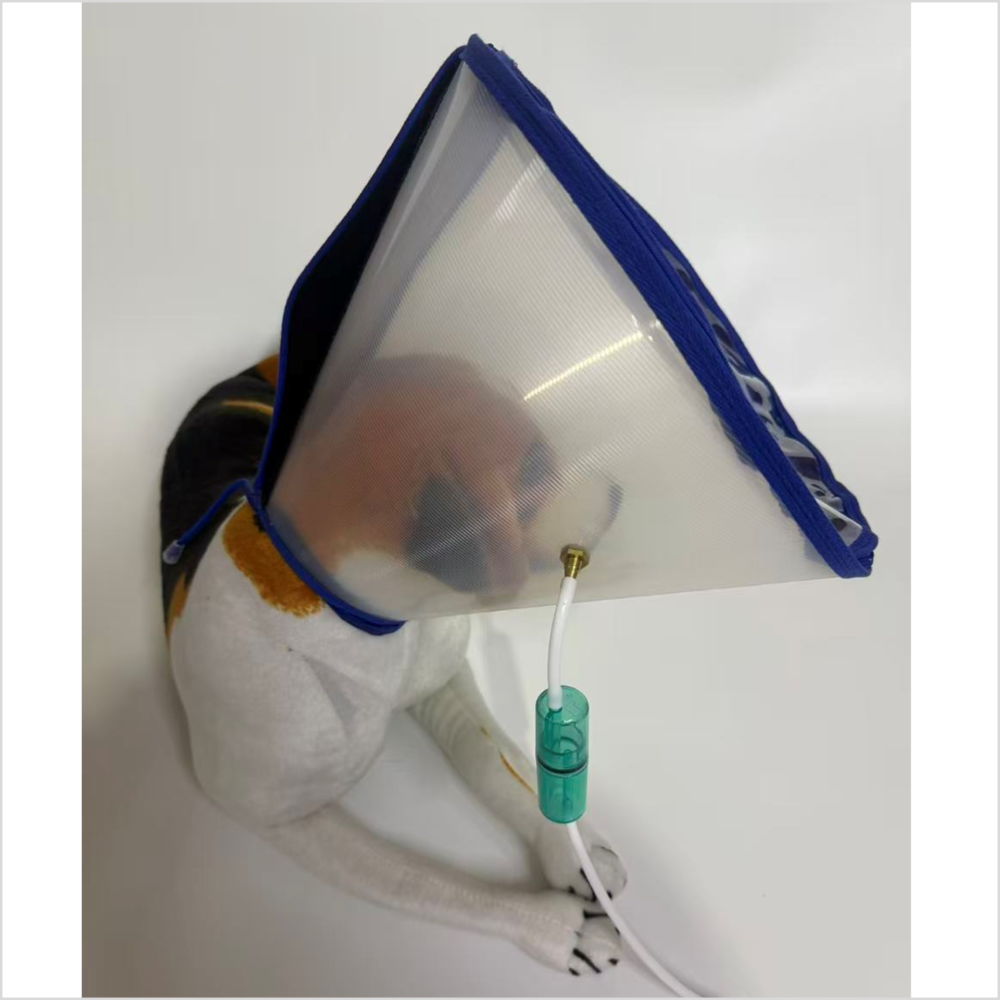 260204 大 接続部 水素吸入器 マスク 中 ペット 犬 ねこ