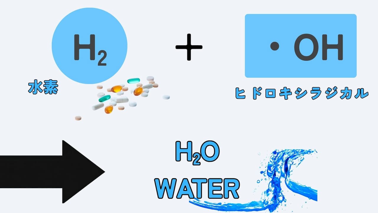 水素サプリメントについて!効能・効果の真偽を徹底解説 15 31 悪玉活性酸素「ヒドロキシラジカル」のみを排除