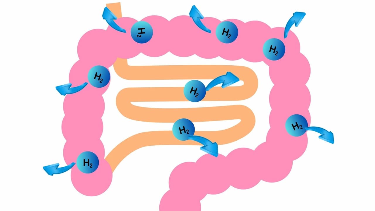 水素サプリメントについて!効能・効果の真偽を徹底解説 16 41 水素サプリメントによって作られた水素は、そのまま腸から吸収される